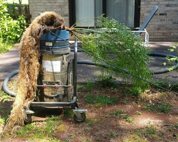 gutter-tree-removal-cleaning-palmetto-ga